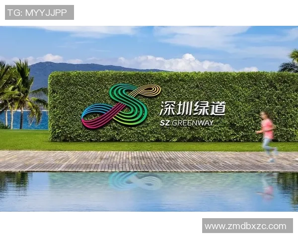 成都网球队团队协作的创新实践与热议探索之路