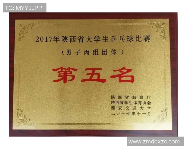 深圳乒乓球队精英赛战术分析与表现评估探讨